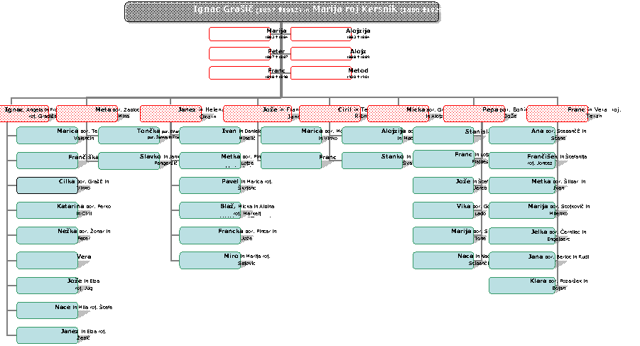 Organigram
