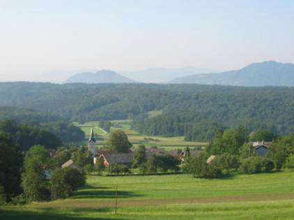 VASICA SENICNO